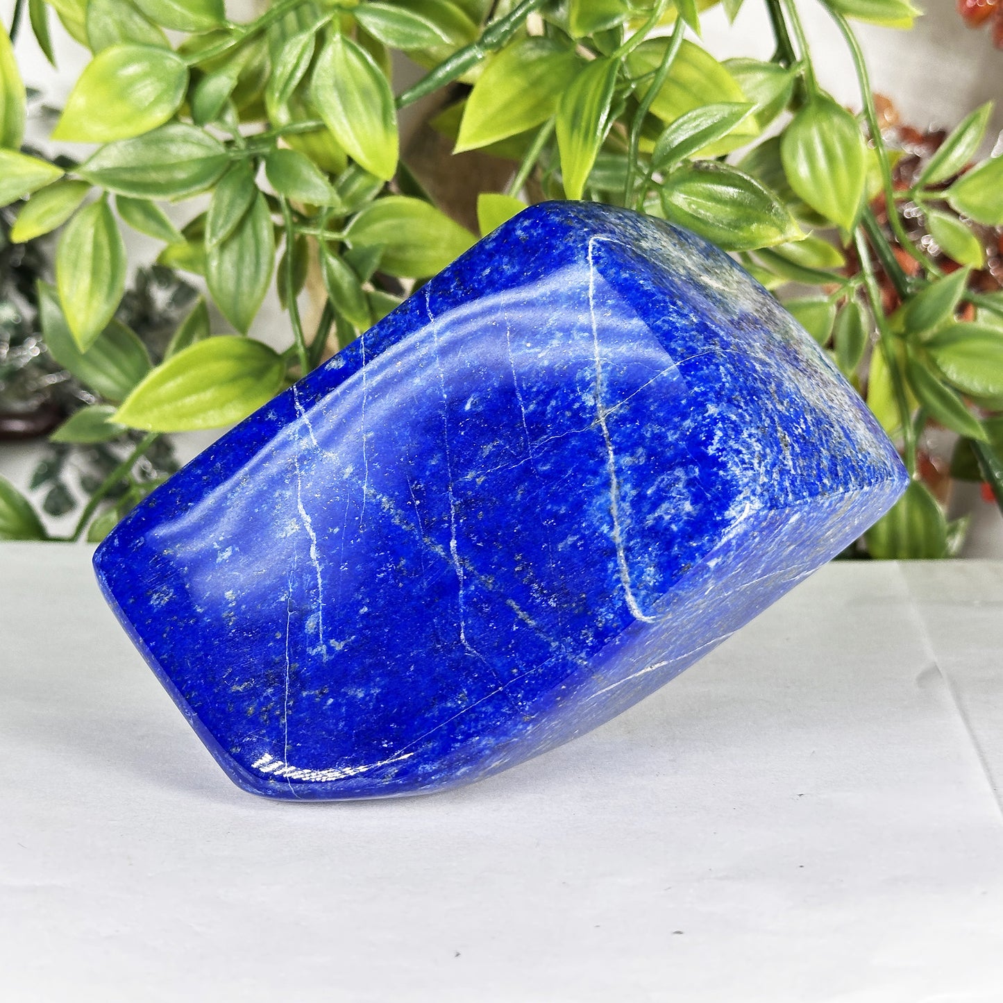 Natural Lapis Lazuli Polished Freeform Stone Deep Blue Gemstone Display Decor - RPS543
