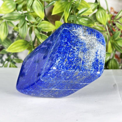 Natural Lapis Lazuli Polished Freeform Stone Deep Blue Gemstone Display Decor - RPS543