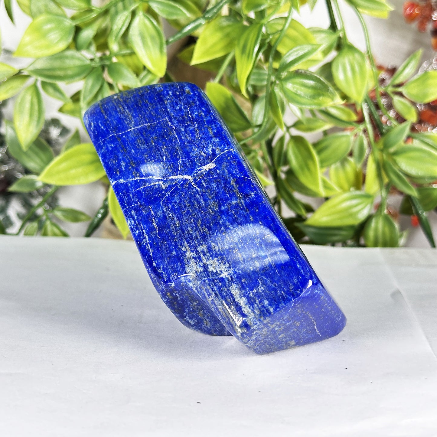 Natural Lapis Lazuli Polished Freeform Stone Deep Blue Gemstone Display Decor - RPS543