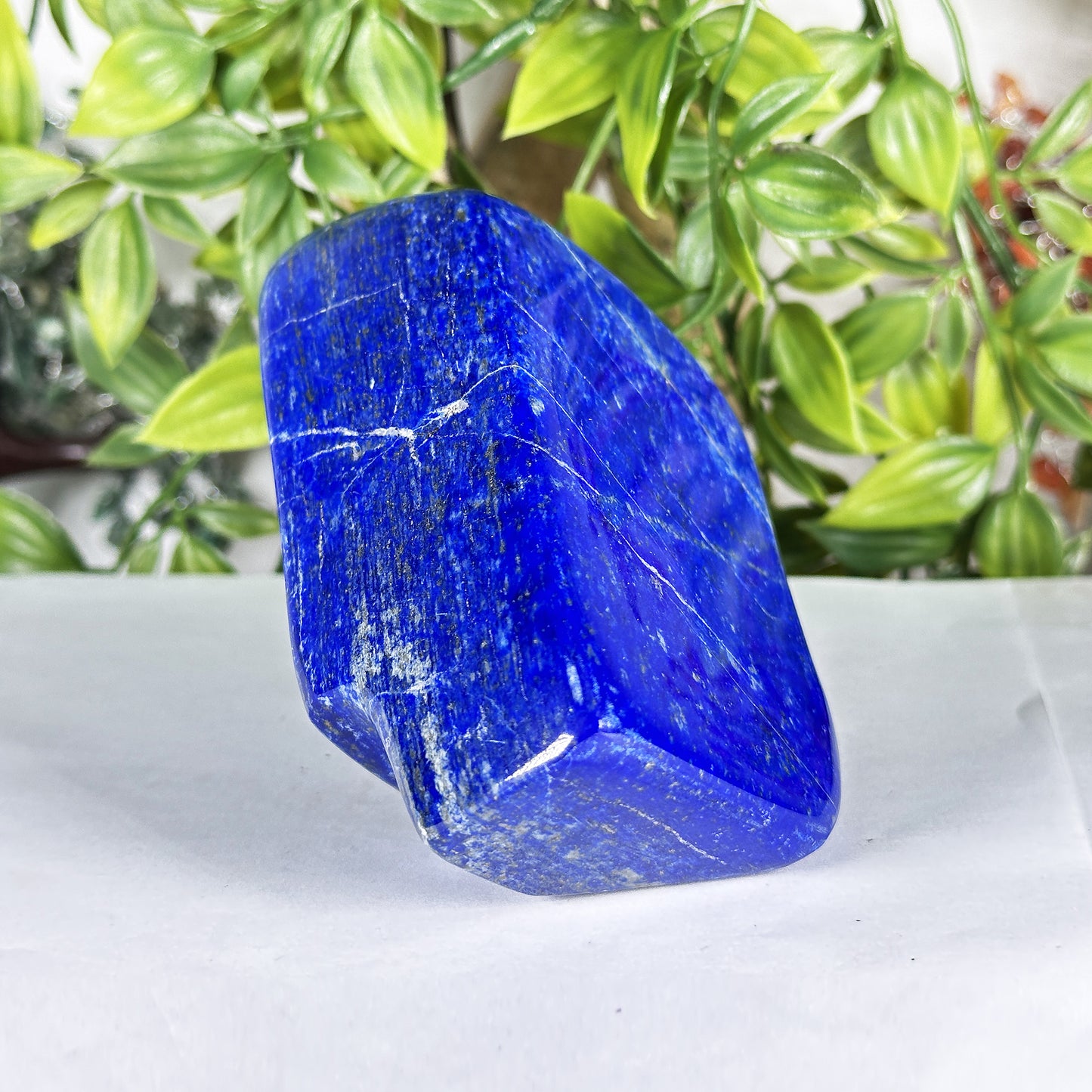 Natural Lapis Lazuli Polished Freeform Stone Deep Blue Gemstone Display Decor - RPS543