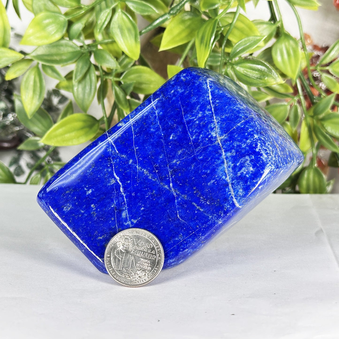 Natural Lapis Lazuli Polished Freeform Stone Deep Blue Gemstone Display Decor - RPS543