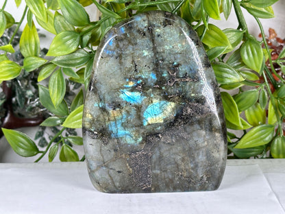 Natural Labradorite Polished Freeform Madagascar Flash Crystal for Healing & Home Decor - RPS546