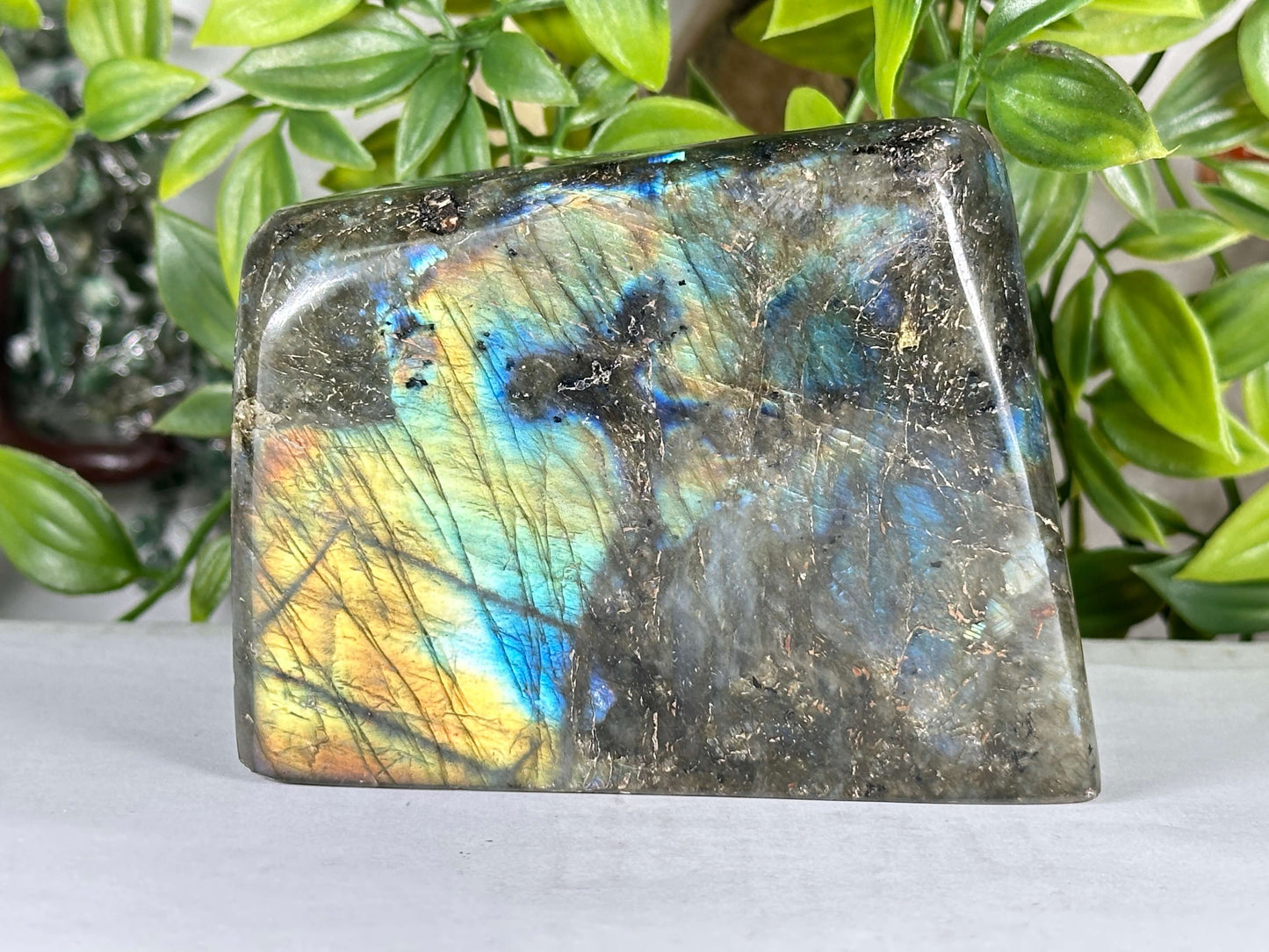 Natural Labradorite Polished Freeform Madagascar Flash Crystal Display Stone for Healing & Home Decor - RPS547