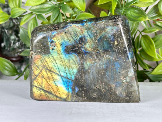 Natural Labradorite Polished Freeform Madagascar Flash Crystal Display Stone for Healing & Home Decor - RPS547