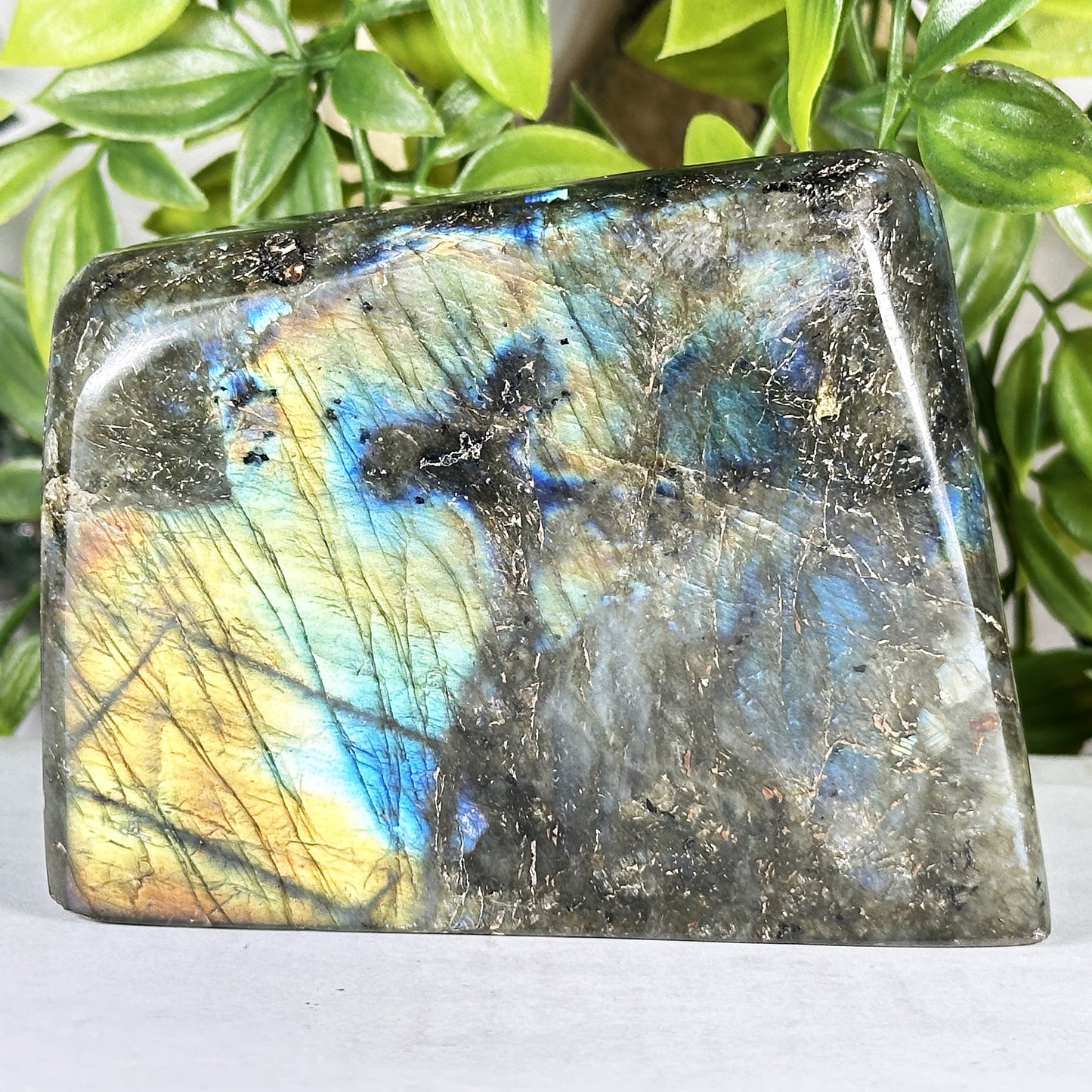Natural Labradorite Polished Freeform Madagascar Flash Crystal Display Stone for Healing & Home Decor - RPS547