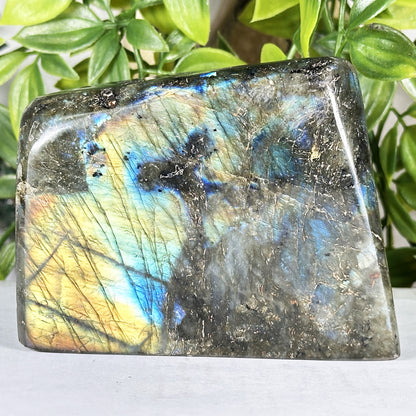 Natural Labradorite Polished Freeform Madagascar Flash Crystal Display Stone for Healing & Home Decor - RPS547
