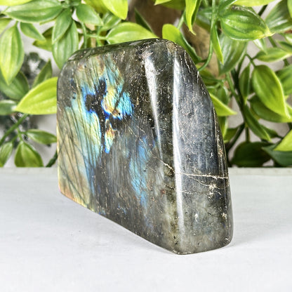 Natural Labradorite Polished Freeform Madagascar Flash Crystal Display Stone for Healing & Home Decor - RPS547