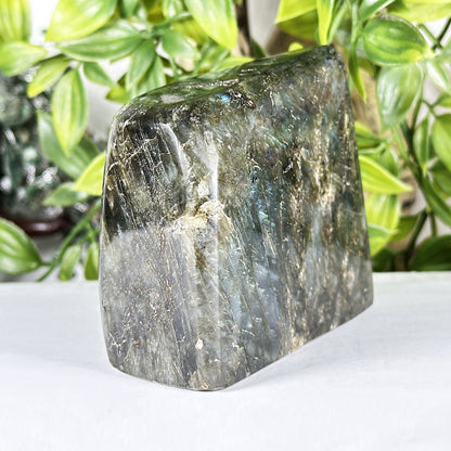 Natural Labradorite Polished Freeform Madagascar Flash Crystal Display Stone for Healing & Home Decor - RPS547