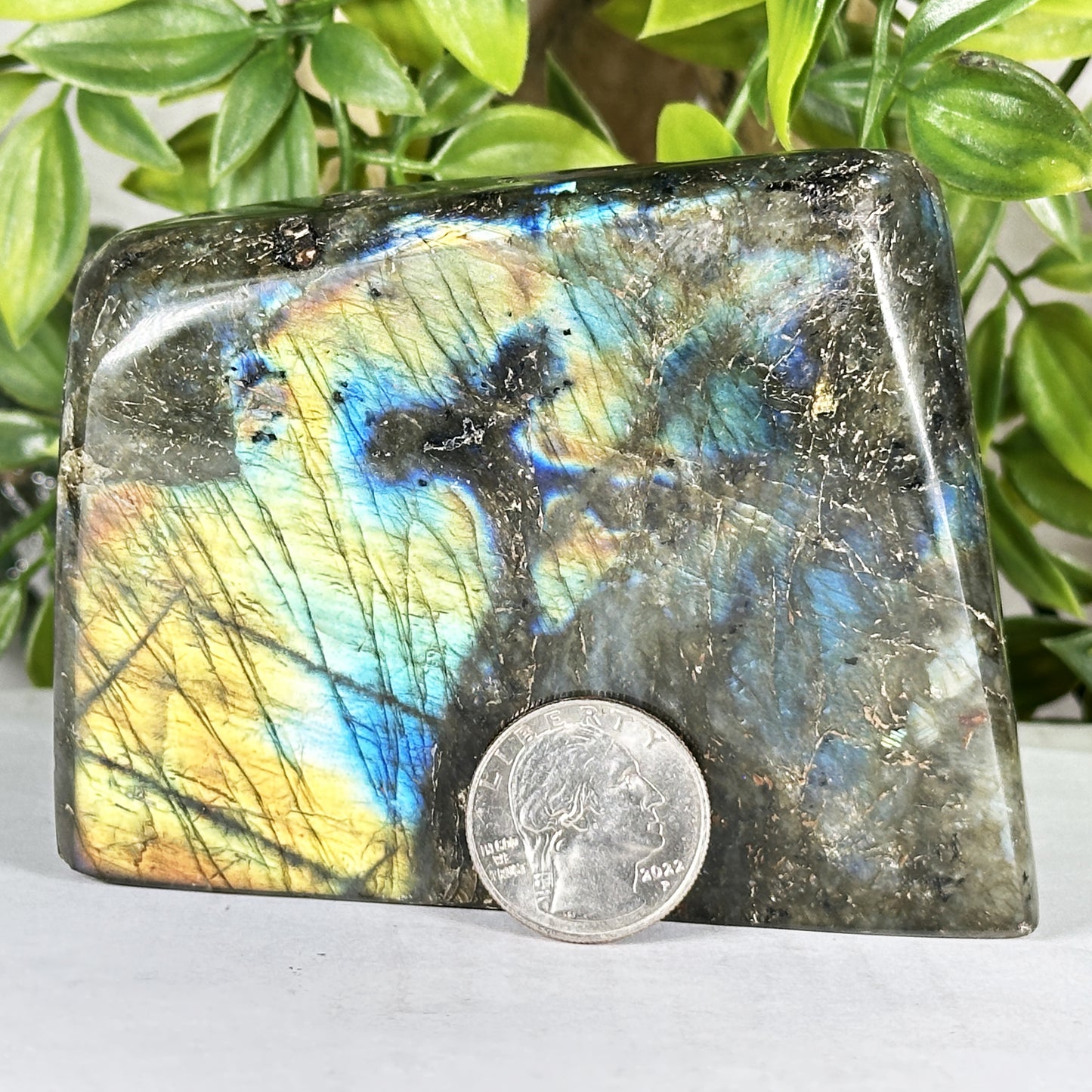 Natural Labradorite Polished Freeform Madagascar Flash Crystal Display Stone for Healing & Home Decor - RPS547