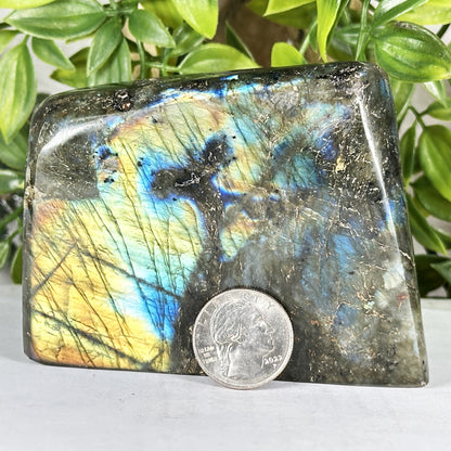 Natural Labradorite Polished Freeform Madagascar Flash Crystal Display Stone for Healing & Home Decor - RPS547