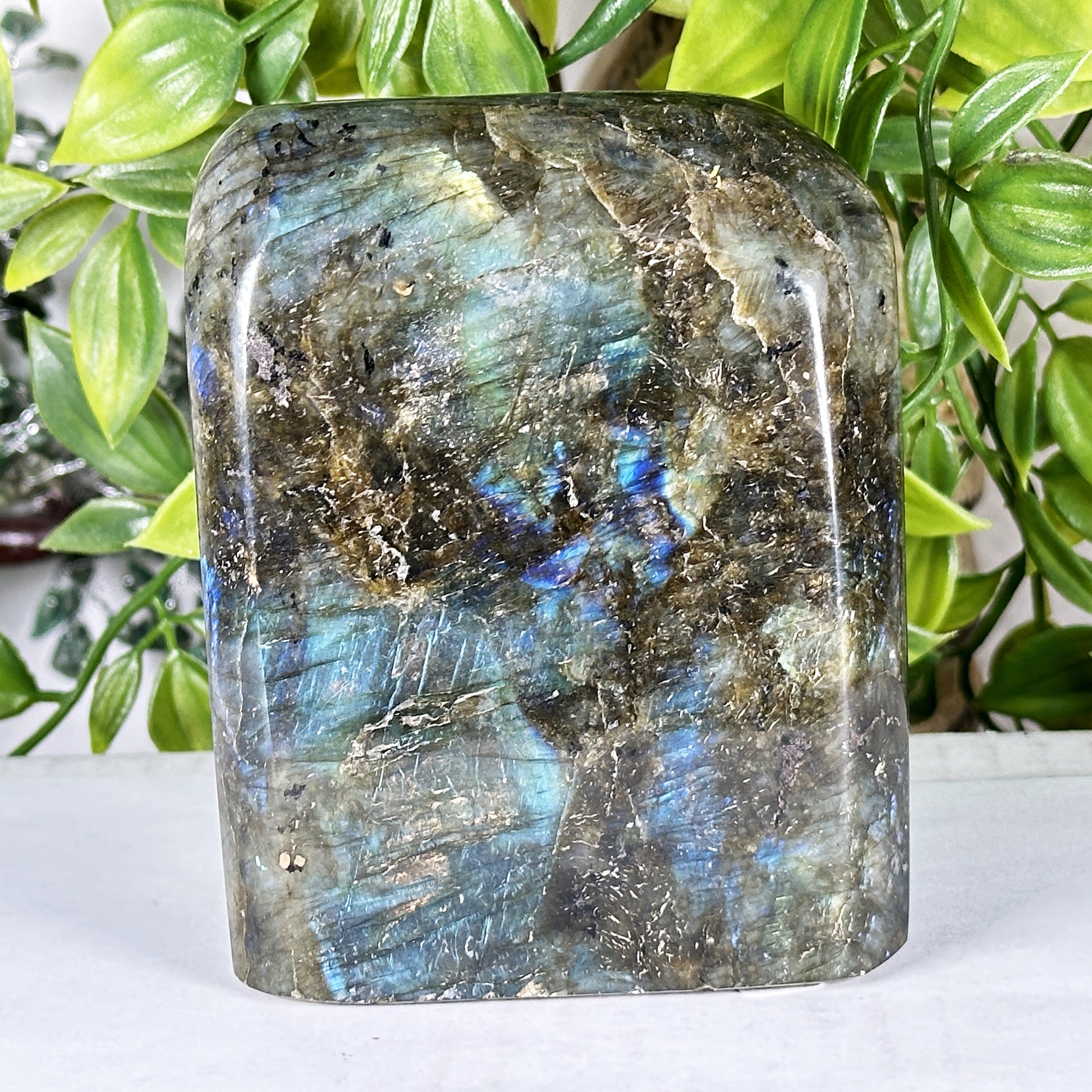 Labradorite Crystal Freeform - Gem Avenue