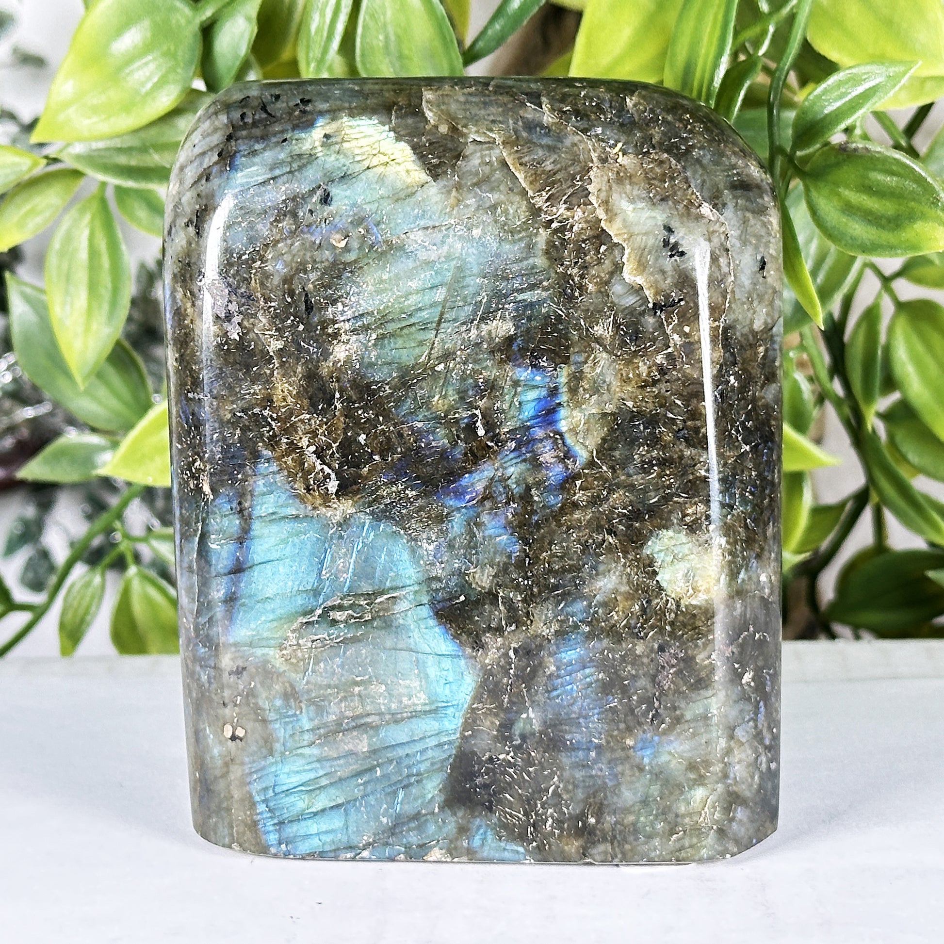 Labradorite Crystal Freeform - Gem Avenue