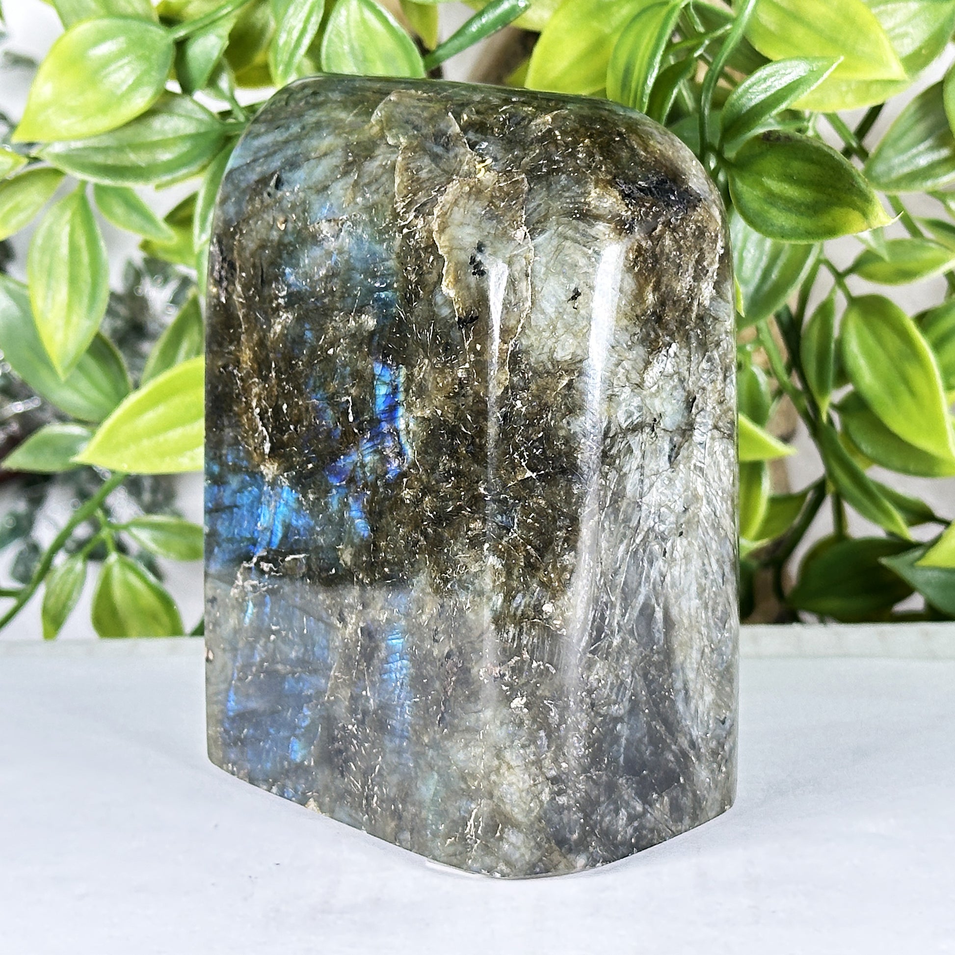 Labradorite Crystal Freeform - Gem Avenue