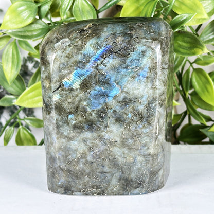 Labradorite Crystal Freeform - Gem Avenue