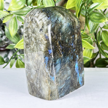 Labradorite Crystal Freeform - Gem Avenue