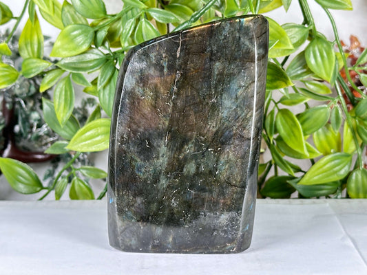 Natural Labradorite Polished Freeform Stone Madagascar Flash Crystal Display for Healing & Home Decor - RPS549