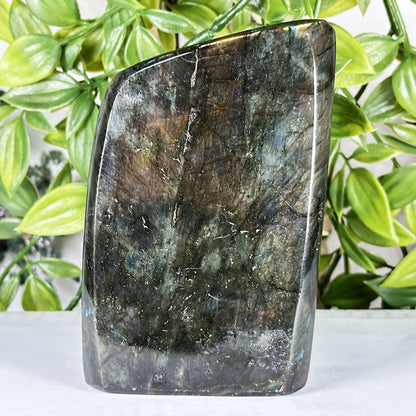 Labradorite Crystal Freeform - Gem Avenue