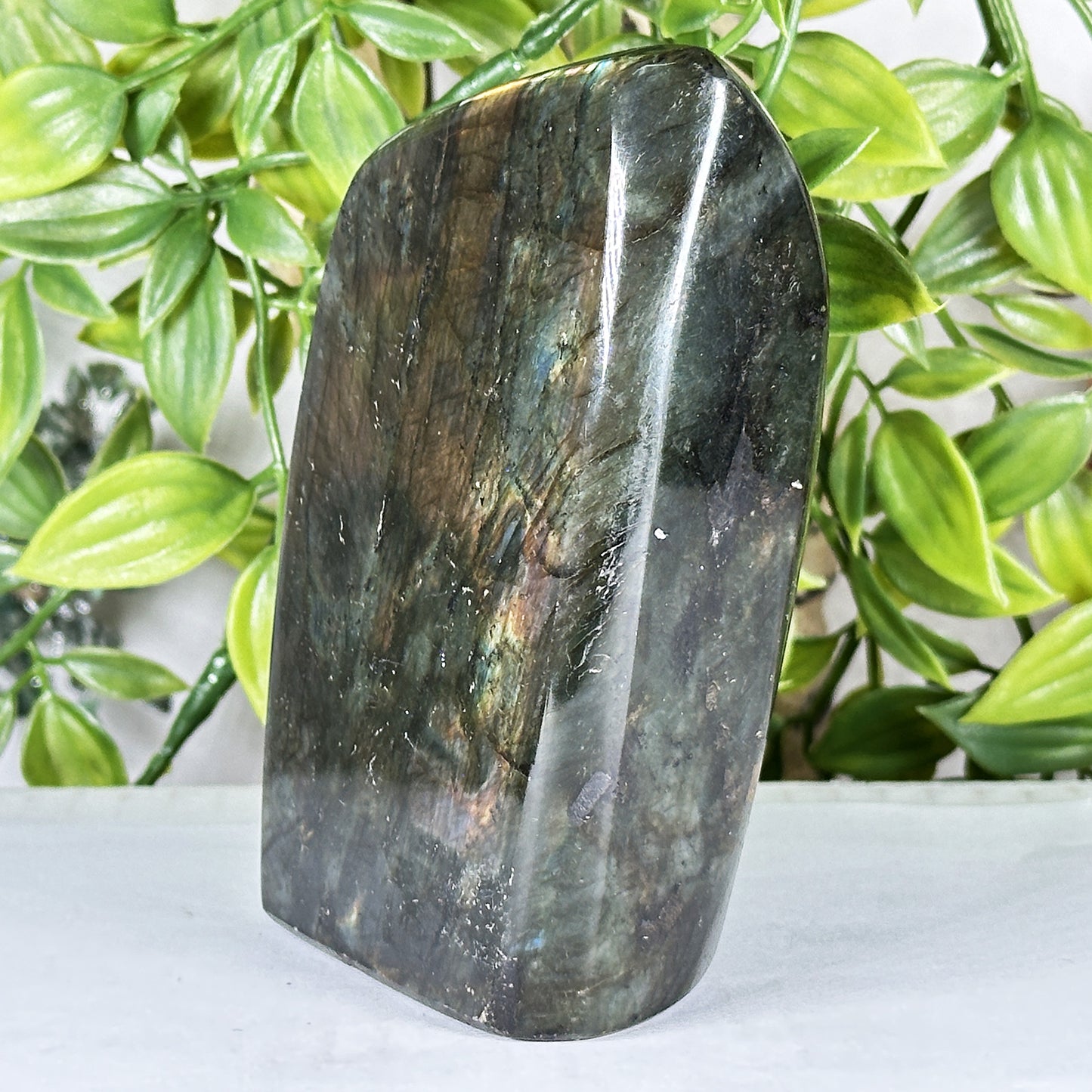 Labradorite Crystal Freeform - Gem Avenue