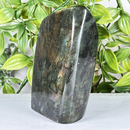 Labradorite Crystal Freeform - Gem Avenue