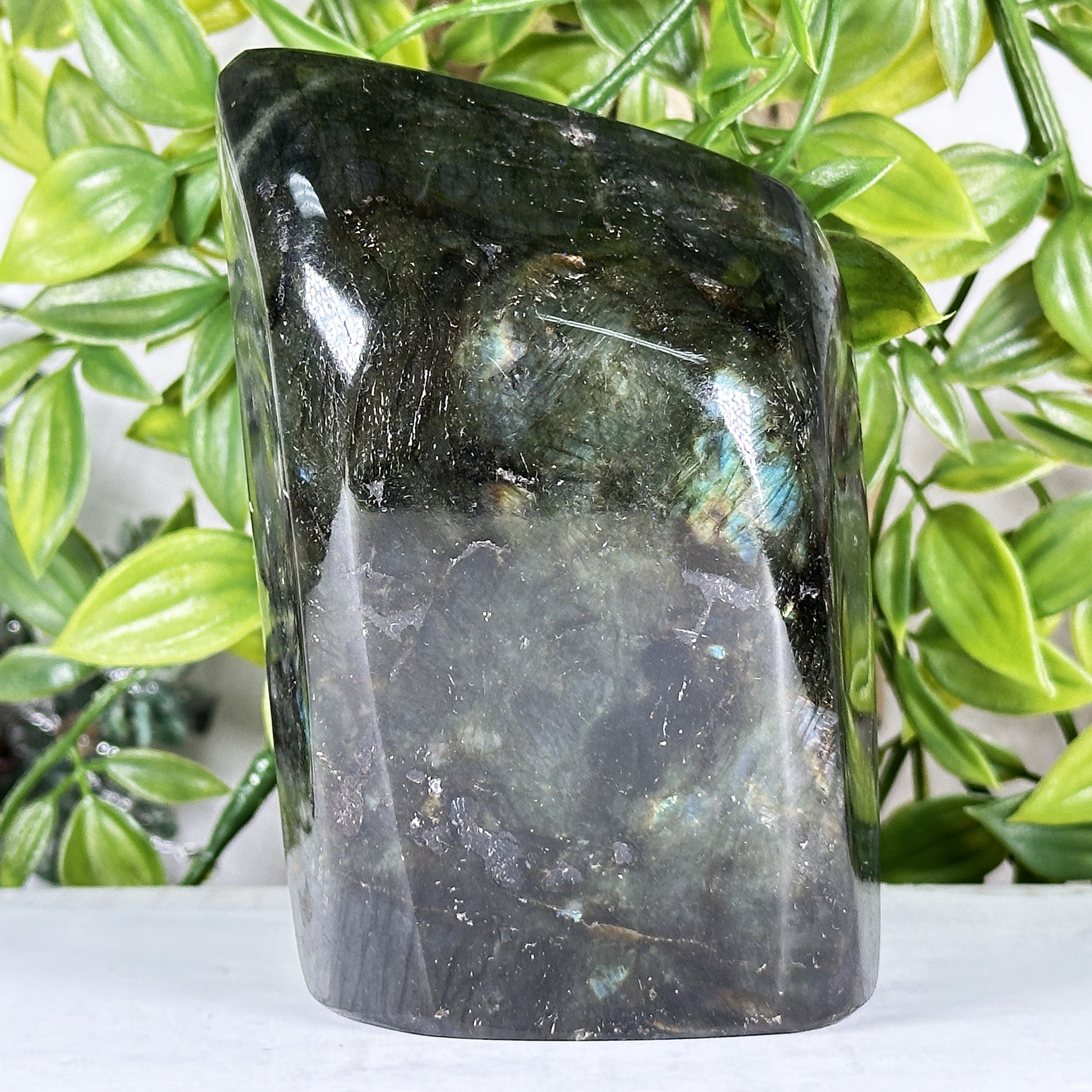 Labradorite Crystal Freeform - Gem Avenue