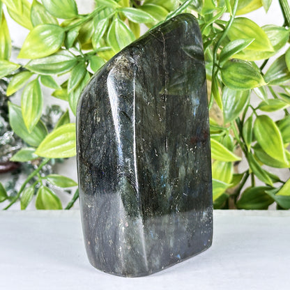 Labradorite Crystal Freeform - Gem Avenue