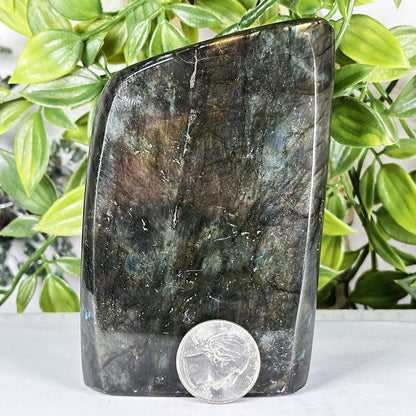 Labradorite Crystal Freeform - Gem Avenue