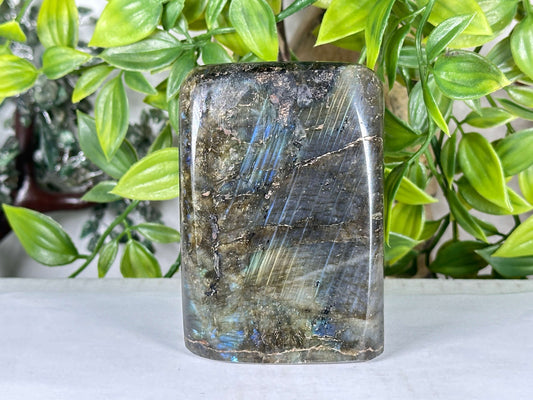Natural Labradorite Crystal Freeform 3" Polished Display Stone Madagascar - RPS550