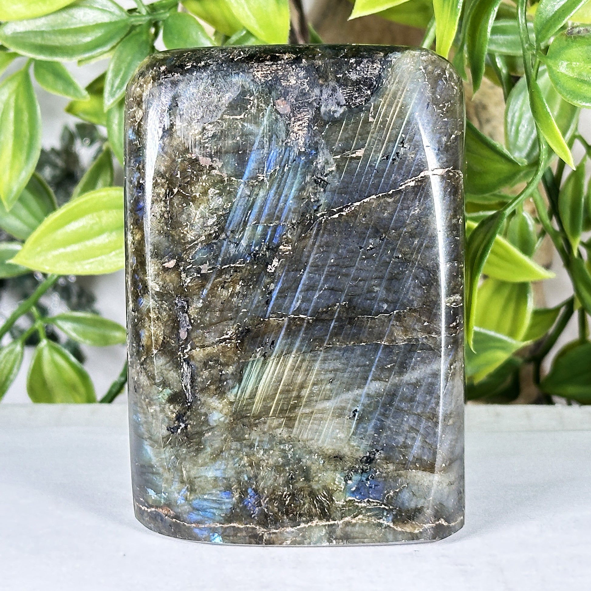Labradorite Crystal Freeform - Gem Avenue