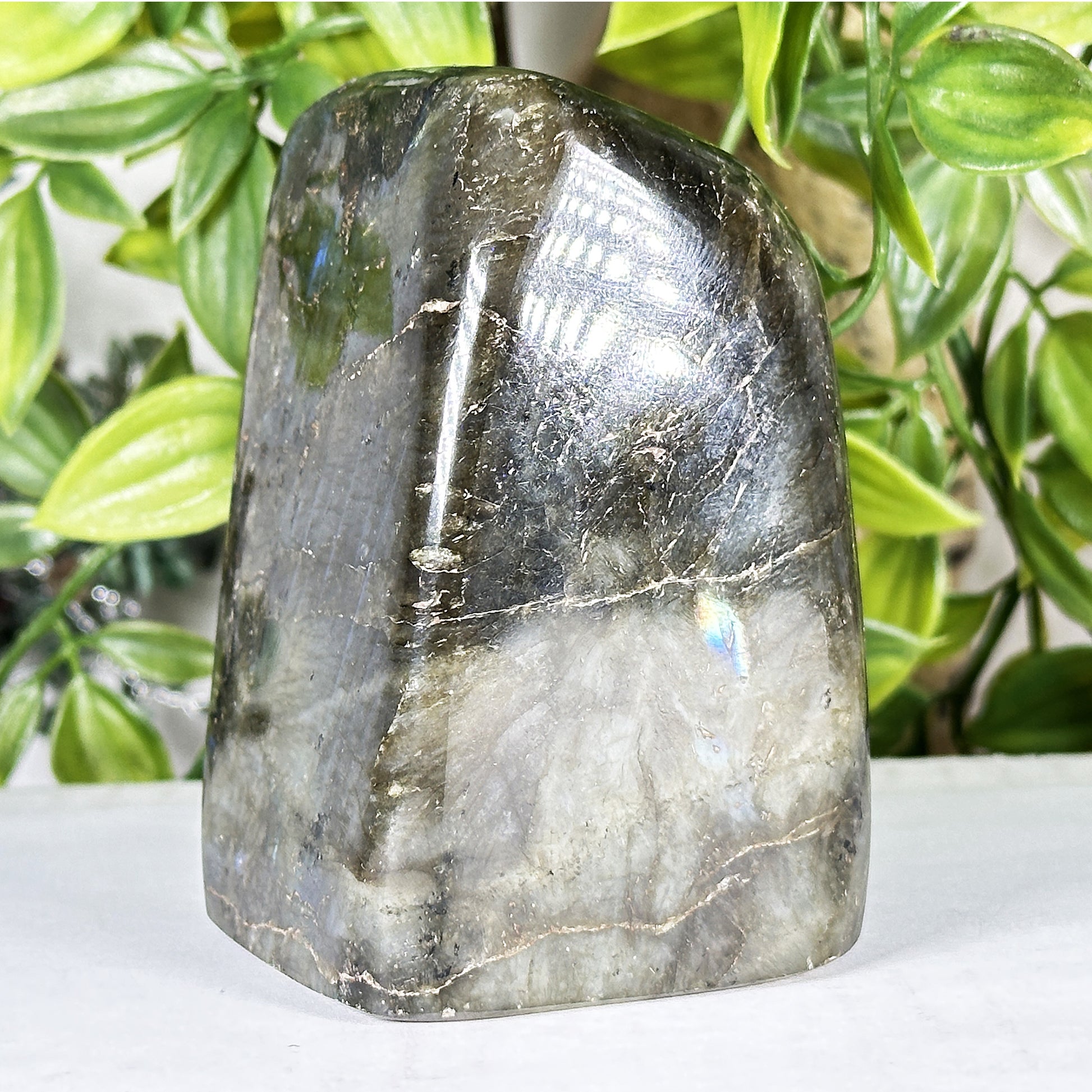 Labradorite Crystal Freeform - Gem Avenue