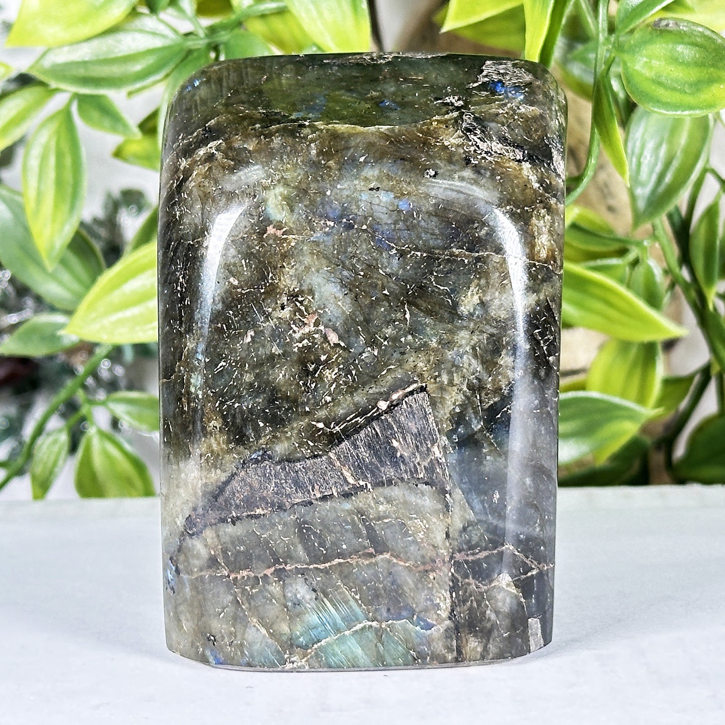 Labradorite Crystal Freeform - Gem Avenue