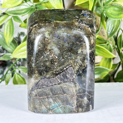 Labradorite Crystal Freeform - Gem Avenue