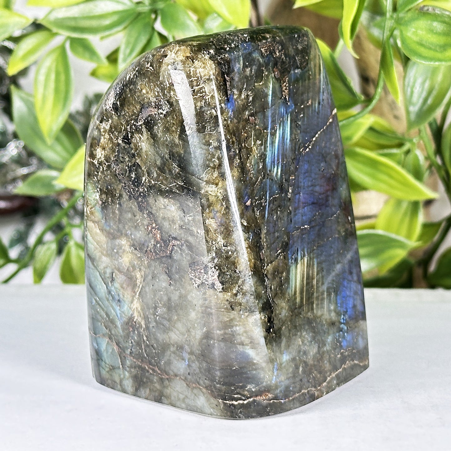 Labradorite Crystal Freeform - Gem Avenue