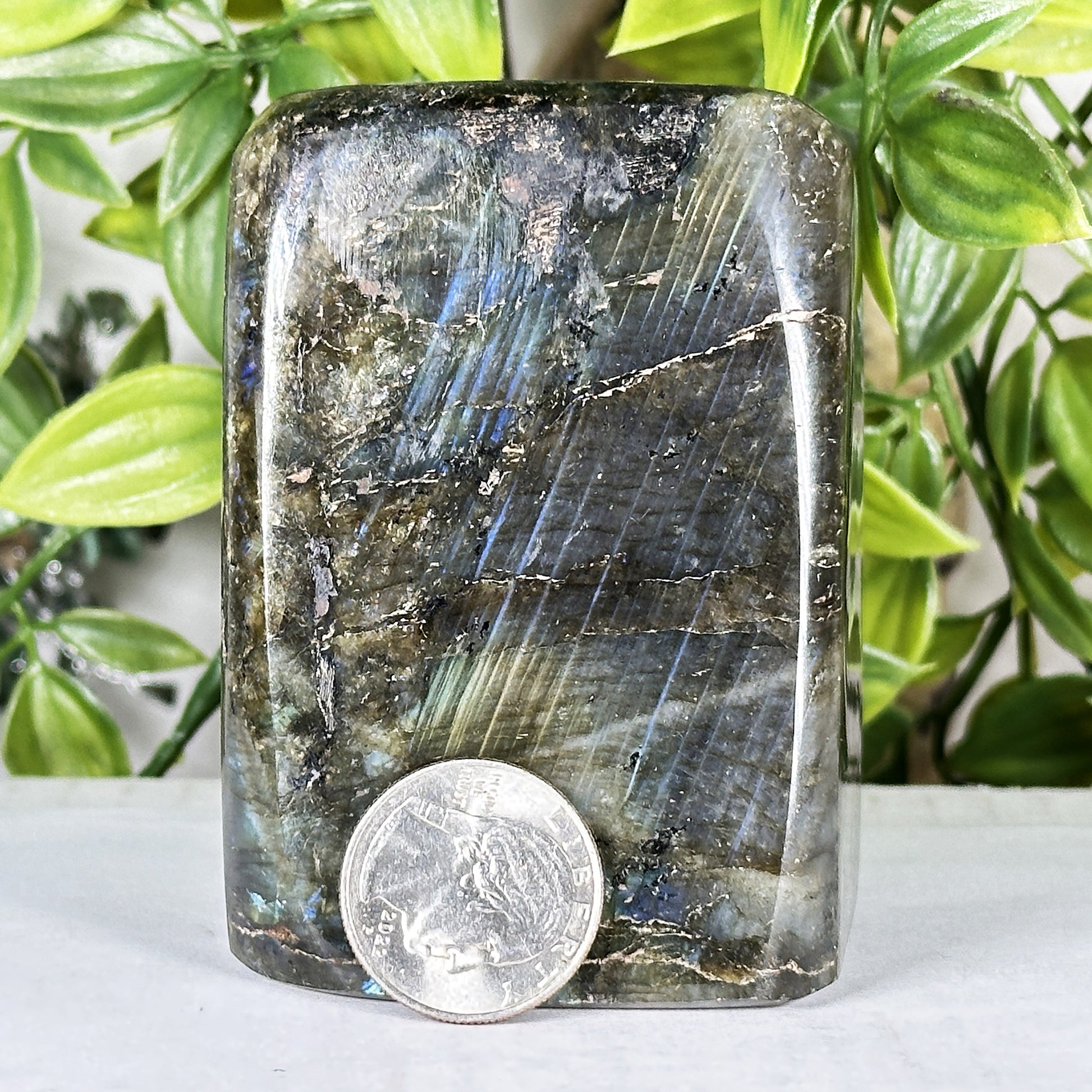 Labradorite Crystal Freeform - Gem Avenue