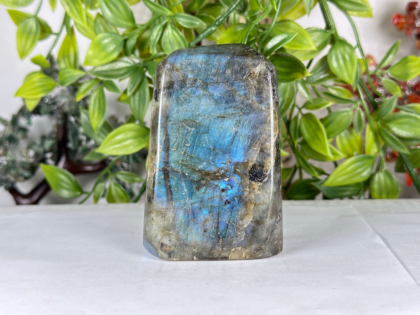 Natural Blue Flash Labradorite Freeform Polished Madagascar Specimen - RPS551