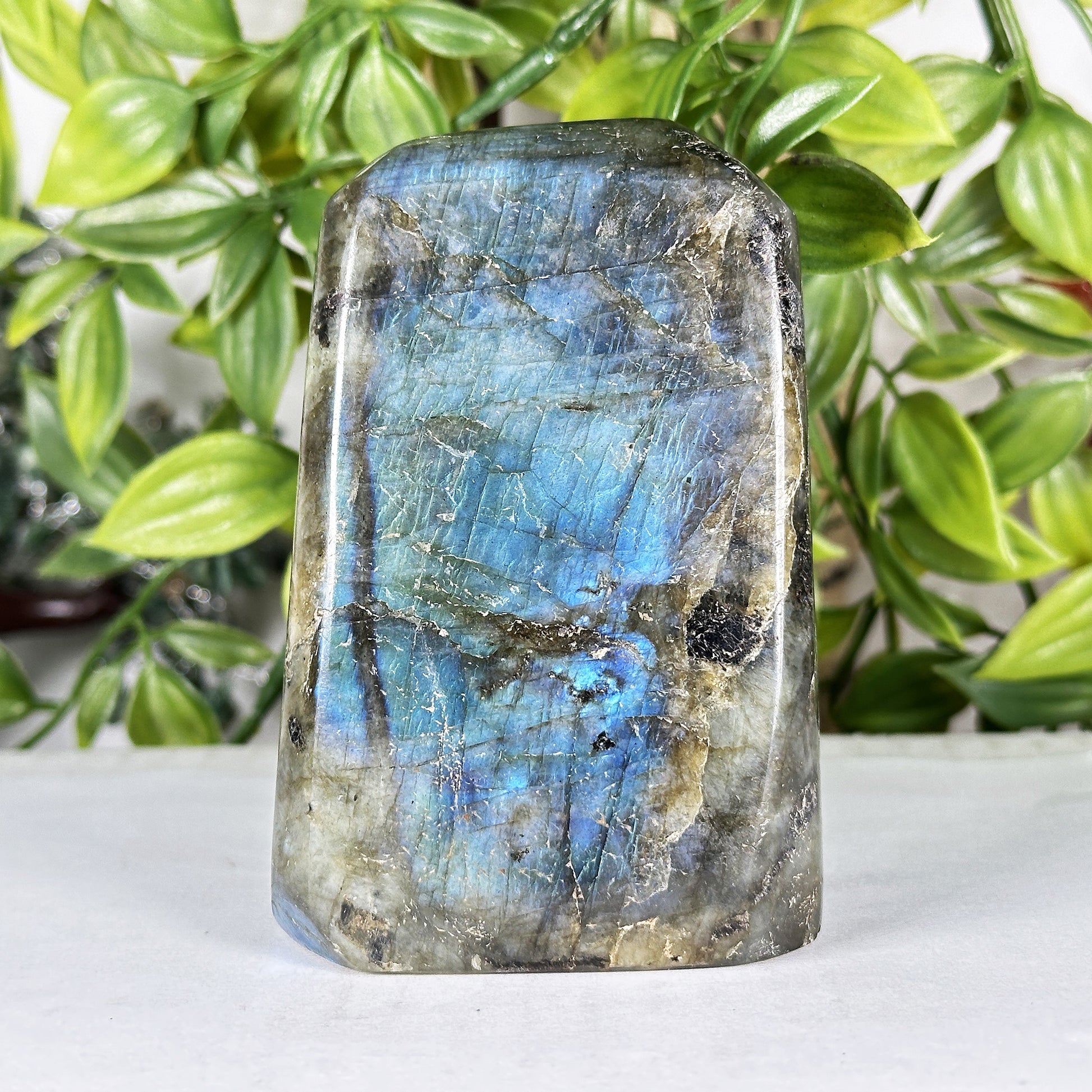 Labradorite Crystal Freeform  - Gem Avenue