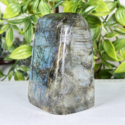 Labradorite Crystal Freeform  - Gem Avenue