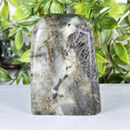 Labradorite Crystal Freeform  - Gem Avenue