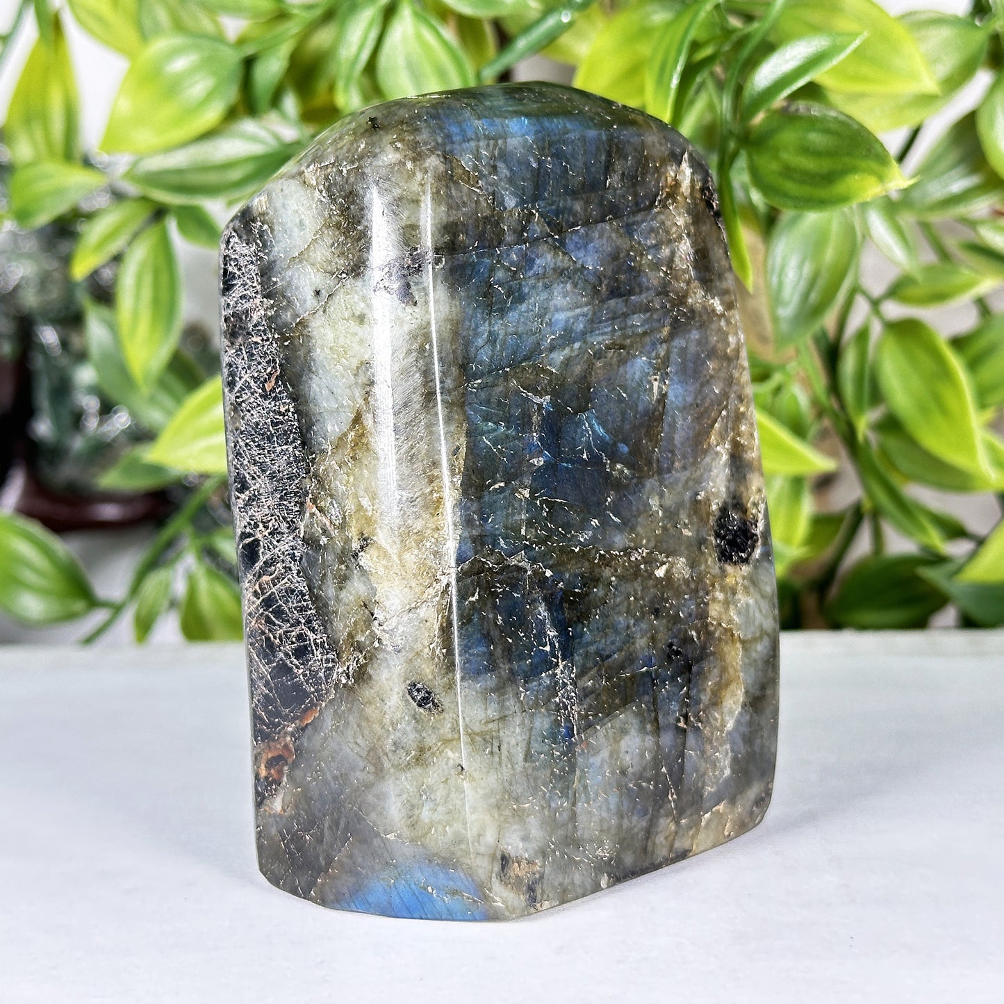 Labradorite Crystal Freeform  - Gem Avenue