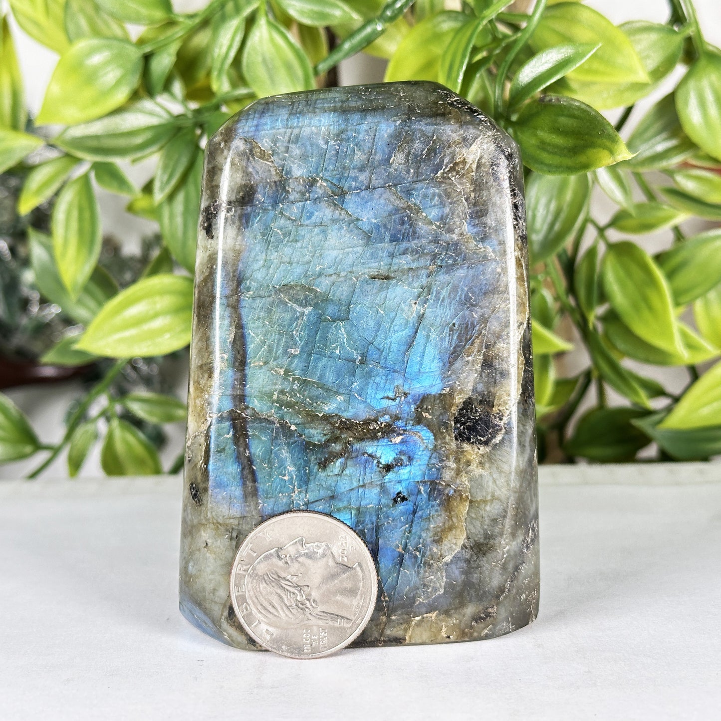 Labradorite Crystal Freeform  - Gem Avenue