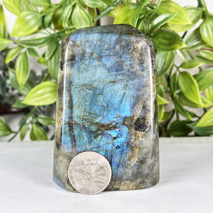Labradorite Crystal Freeform  - Gem Avenue