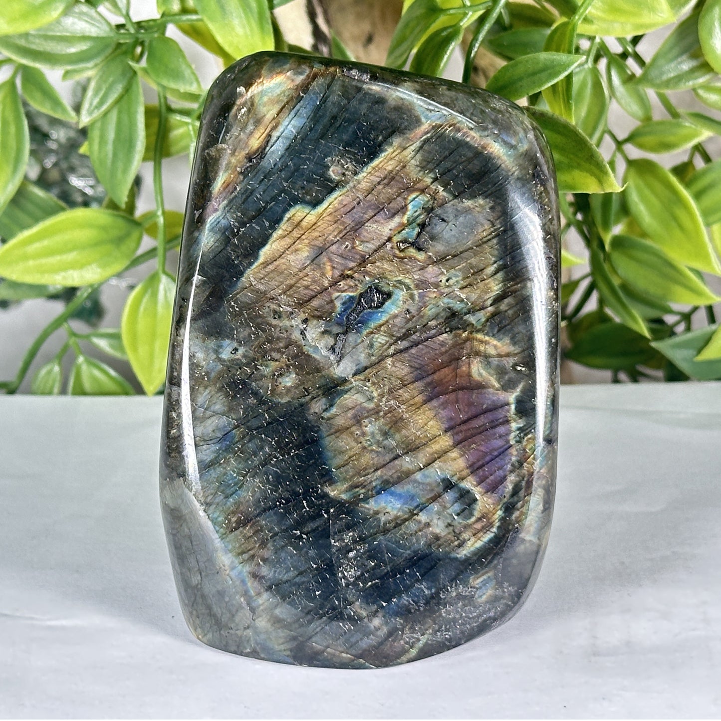 Natural Madagascar Labradorite Freeform Polished Stone with Blue, Gold and Purple Flash - RPS552