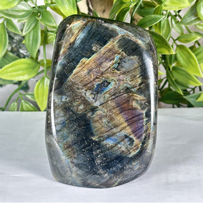 Natural Madagascar Labradorite Freeform Polished Stone with Blue, Gold and Purple Flash - RPS552