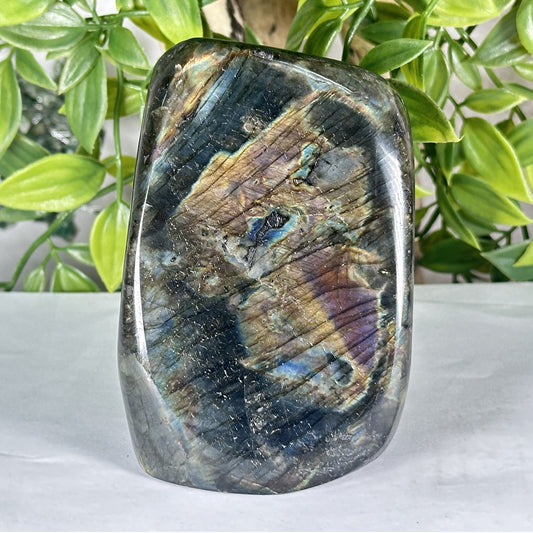 Natural Madagascar Labradorite Freeform Polished Stone with Blue, Gold and Purple Flash - RPS552