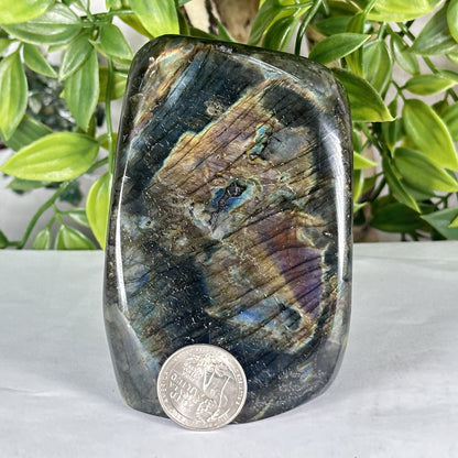 Natural Madagascar Labradorite Freeform Polished Stone with Blue, Gold and Purple Flash - RPS552