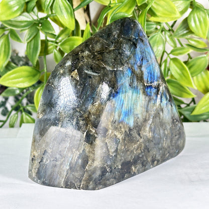 Natural Madagascar Labradorite Freeform Polished Stone with Soft Blue and Gold Flash - RPS553
