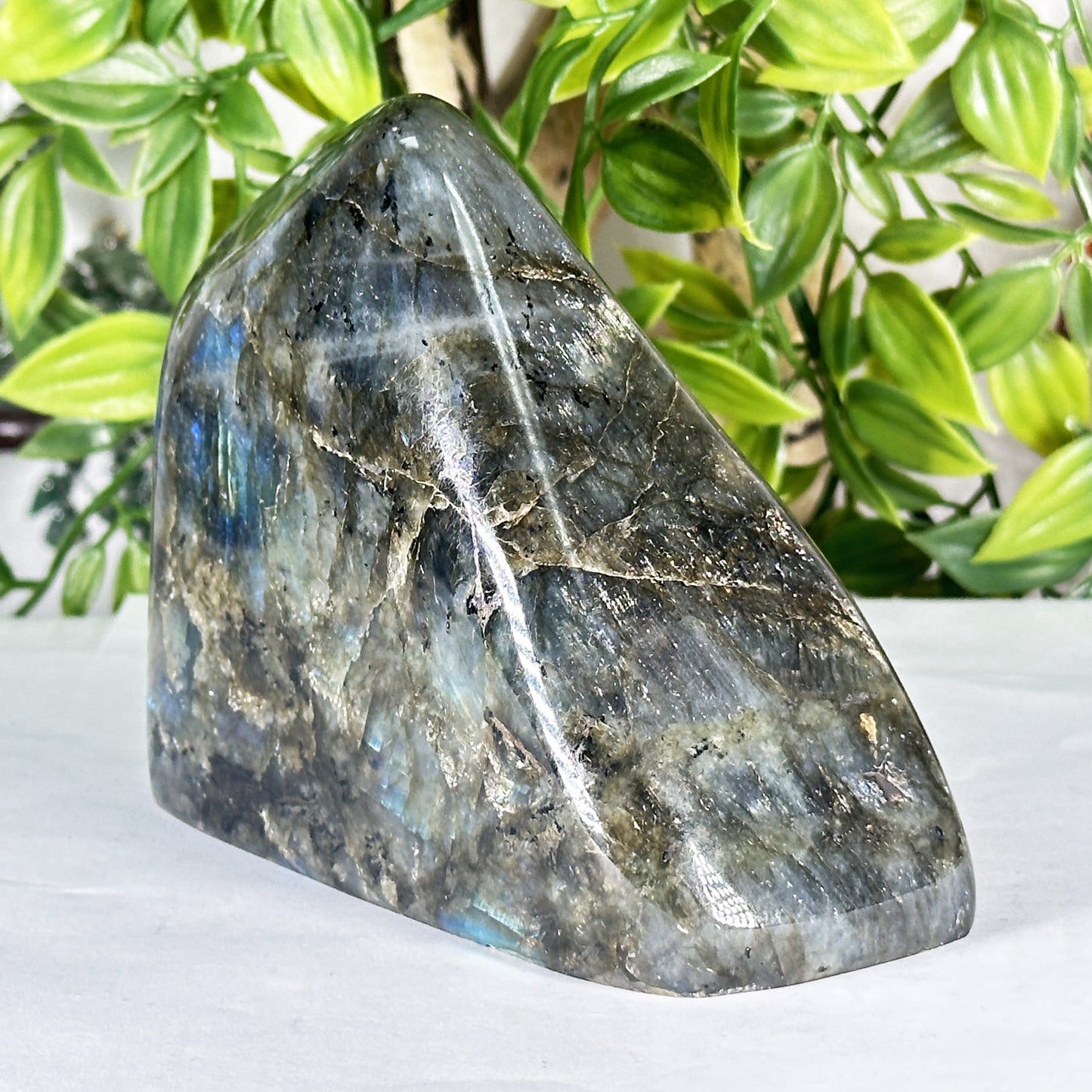 Natural Madagascar Labradorite Freeform Polished Stone with Soft Blue and Gold Flash - RPS553