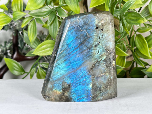 Natural Labradorite Freeform Stone Polished Display Specimen - RPS554