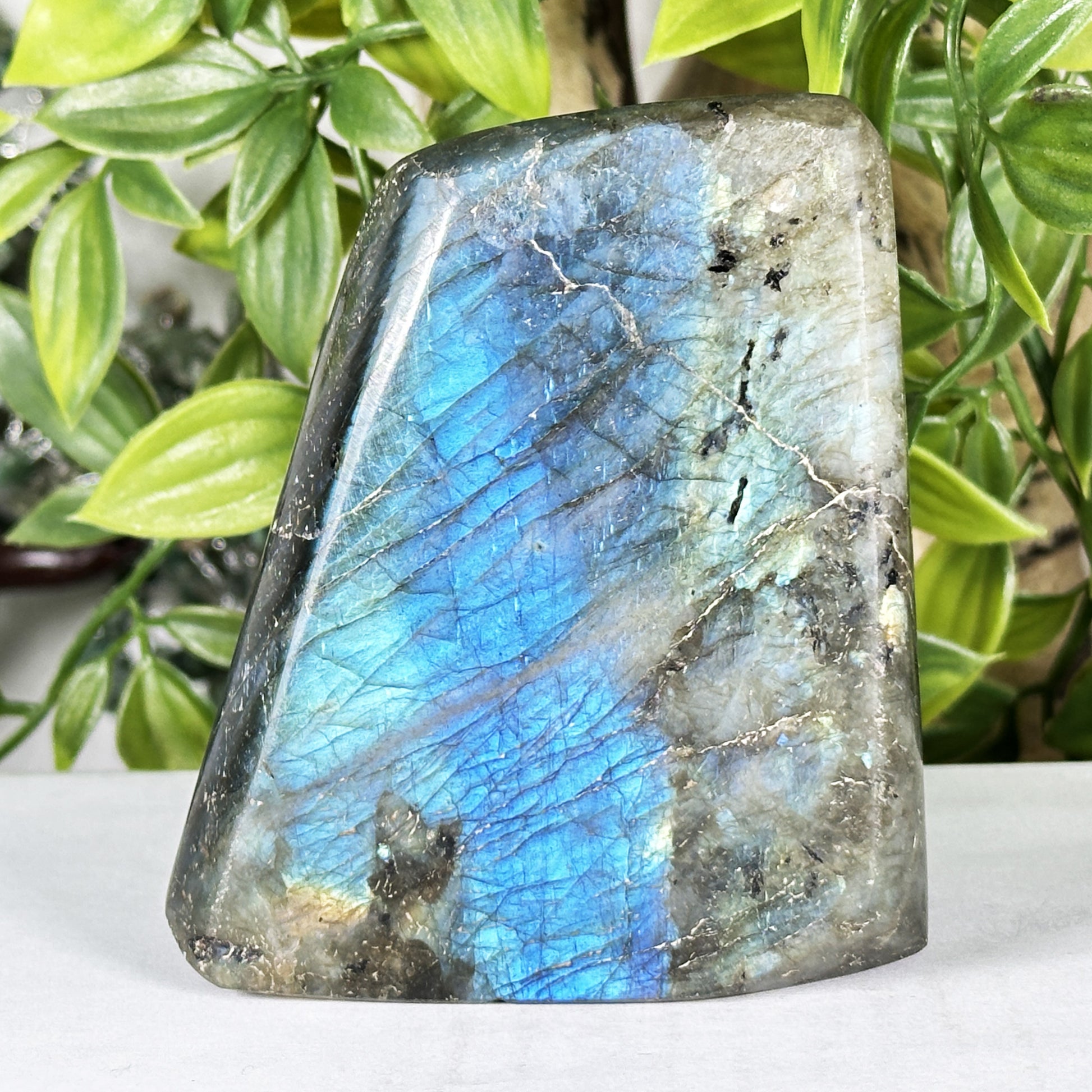 Labradorite Crystal Freeform - Gem Avenue