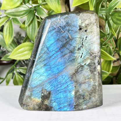 Labradorite Crystal Freeform - Gem Avenue