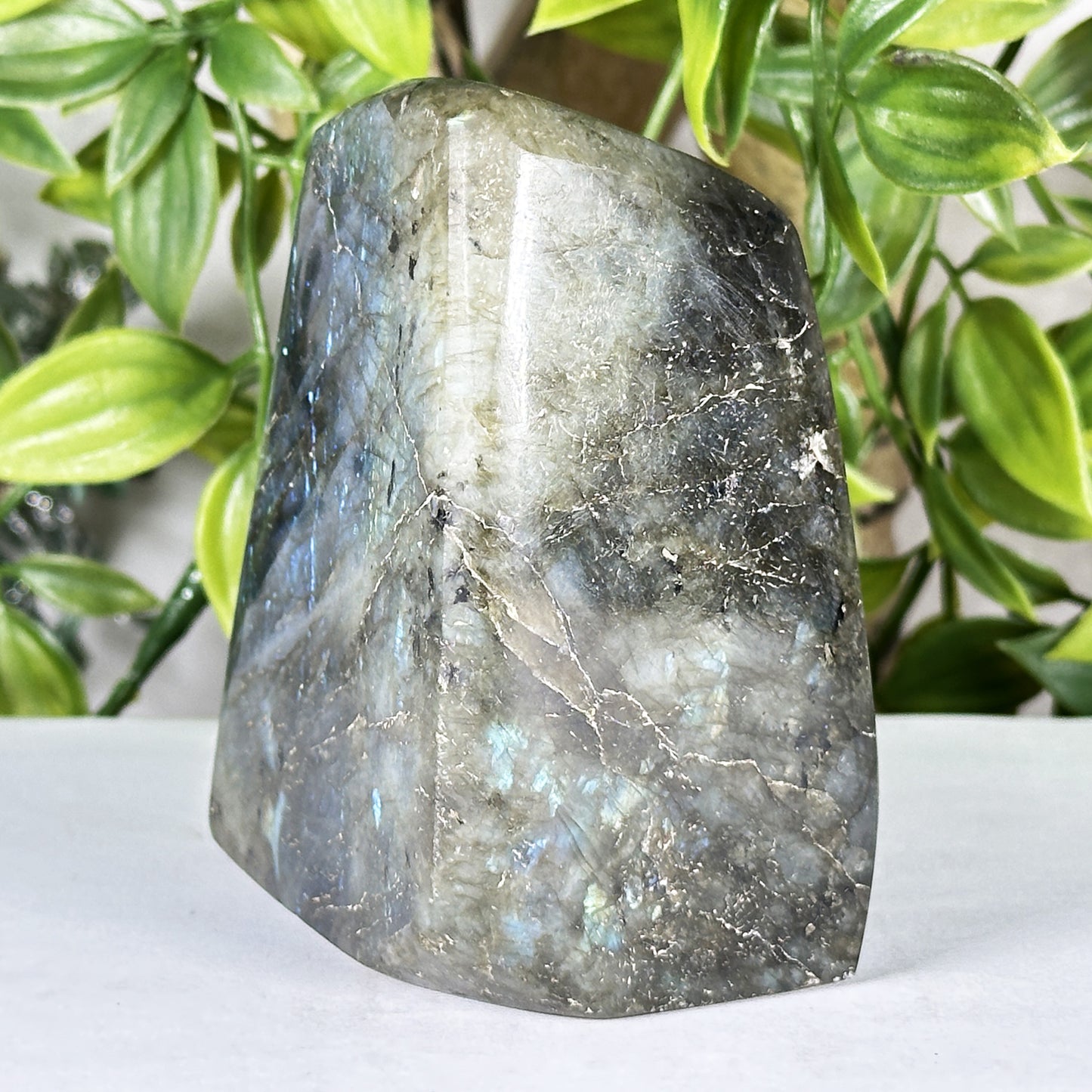 Labradorite Crystal Freeform - Gem Avenue
